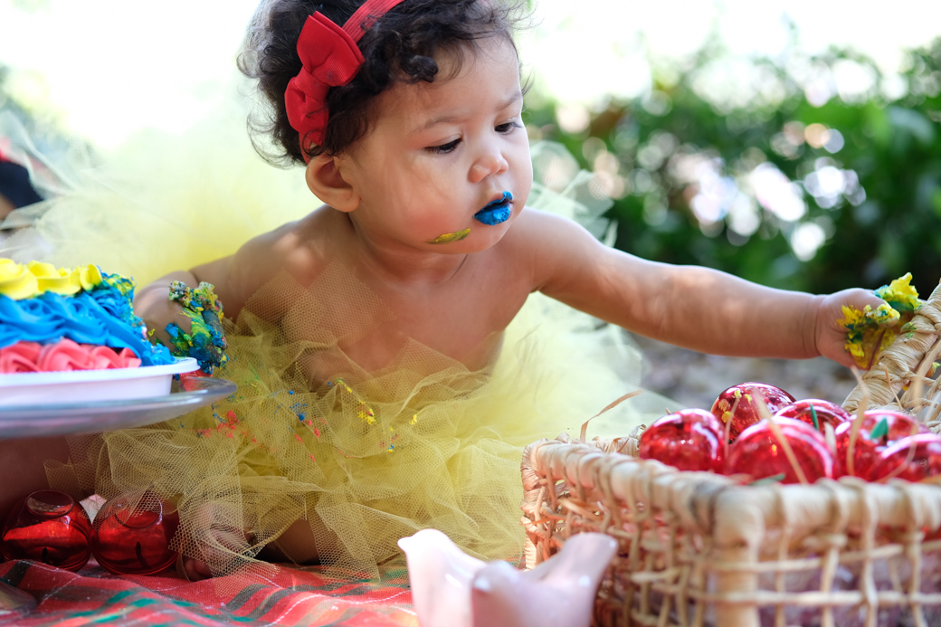 smash the cake sara bosque maia guarulhos familia