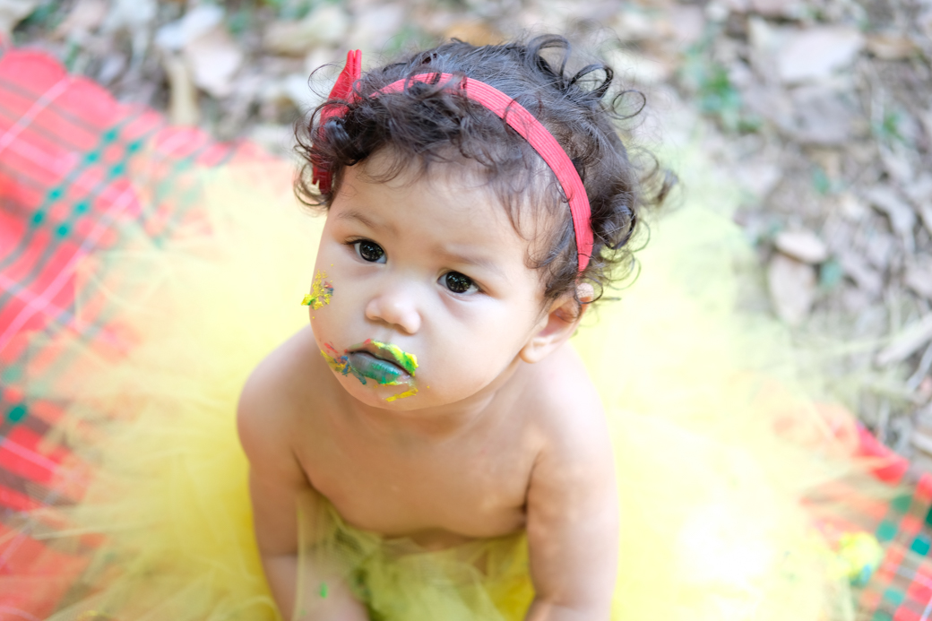 smash the cake sara bosque maia guarulhos familia