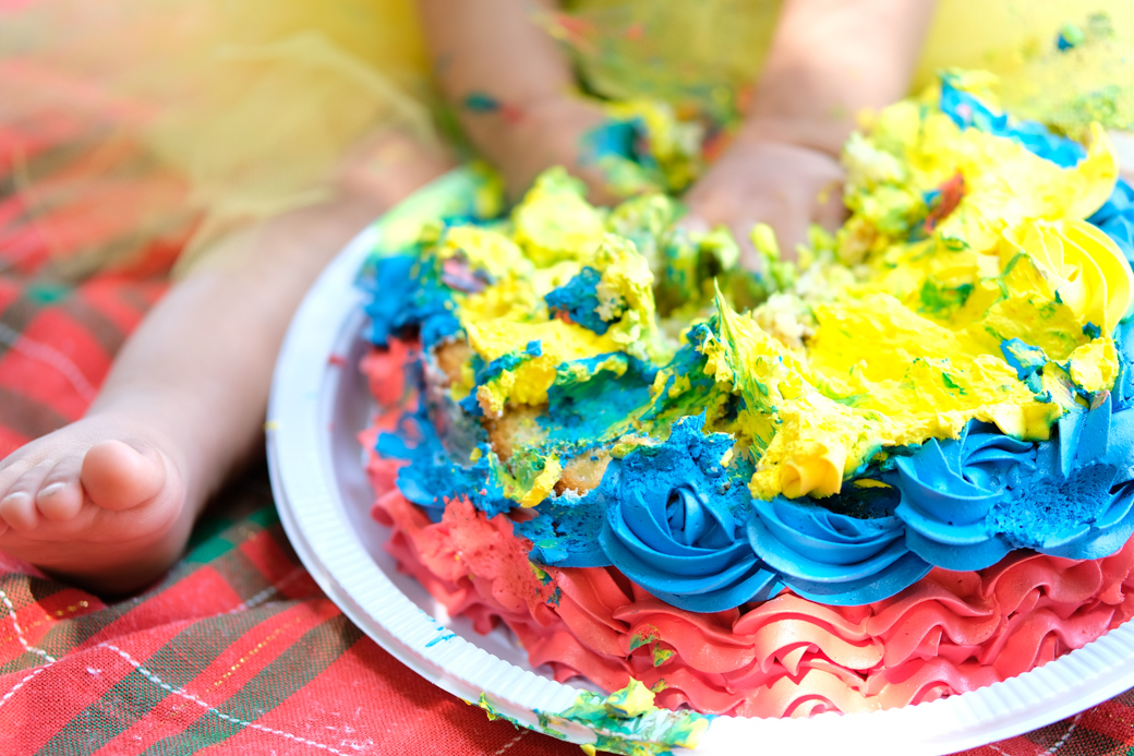 smash the cake sara bosque maia guarulhos familia
