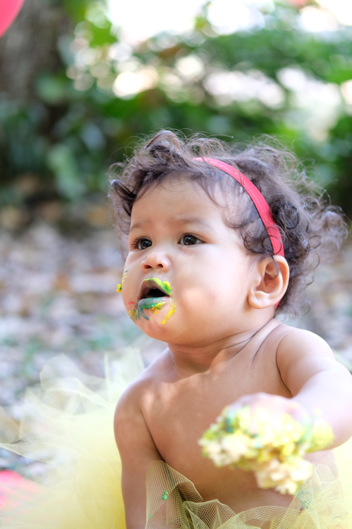 smash the cake sara bosque maia guarulhos familia