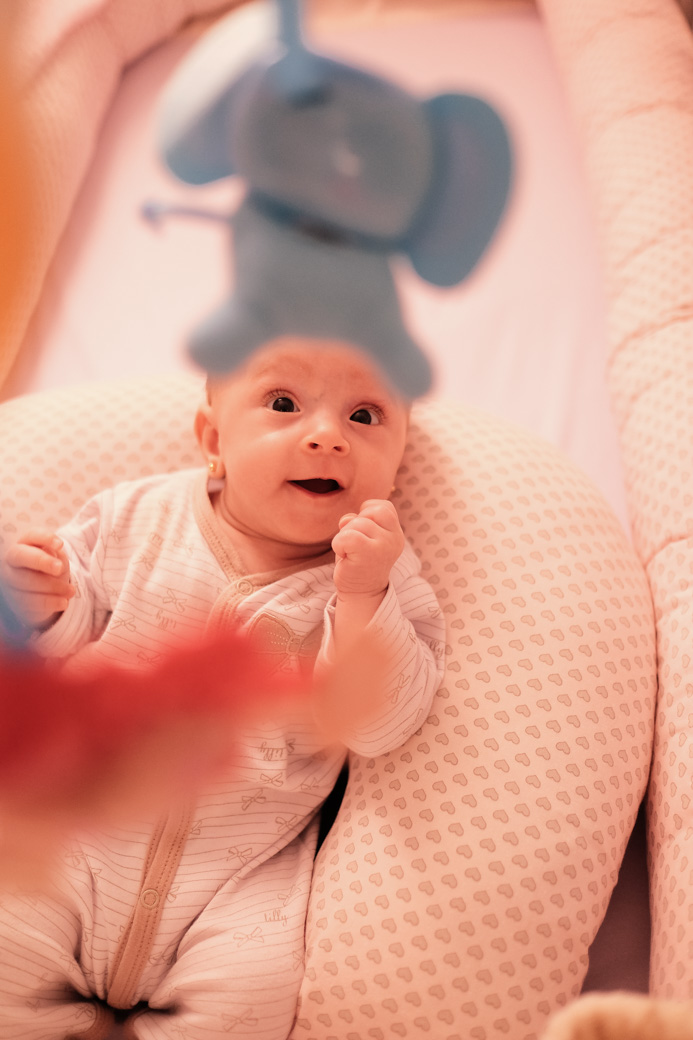 acompanhamento Laura crescimento menina camilakobata