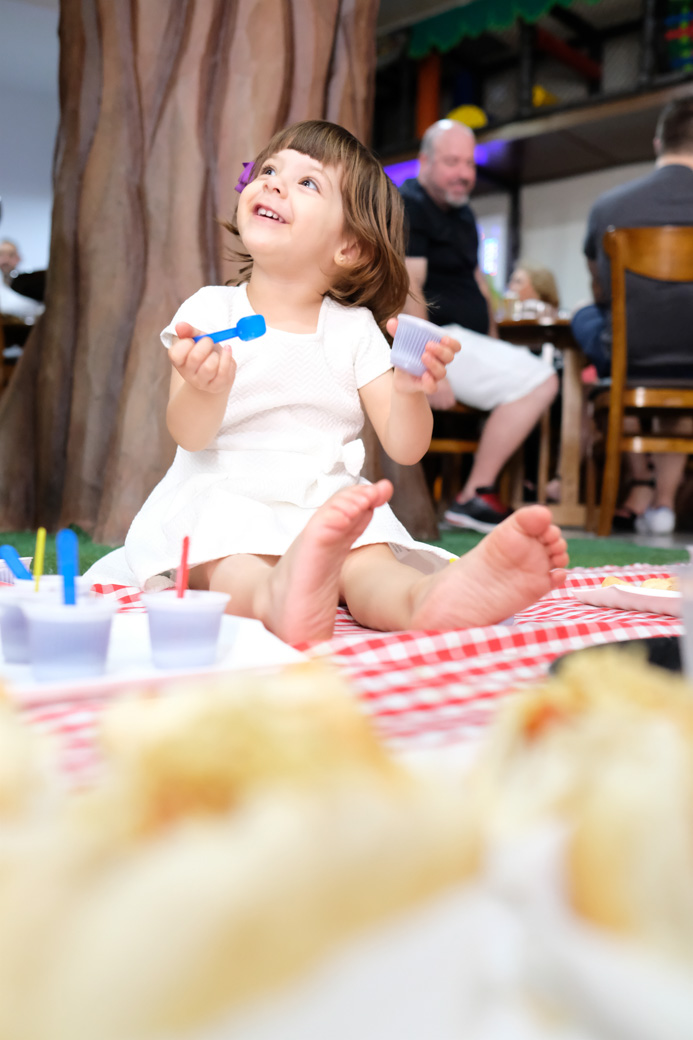 Buffet Além da Alegria SãoPaulo 2 anos Manuela aniversário festa infantil