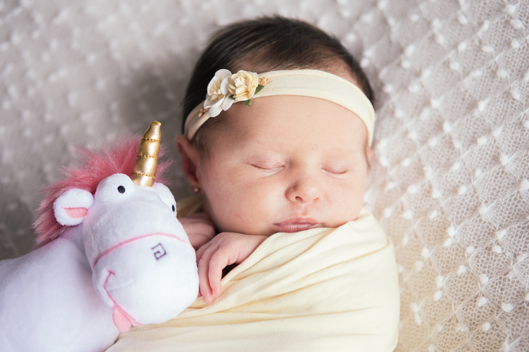 newborn fotografia recem nascido Alice camilakobata