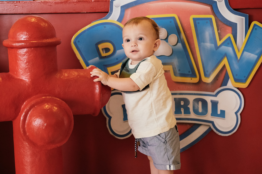 aniversario infantil bakana buffet guarulhos pedro guilherme 1ano camilakobata