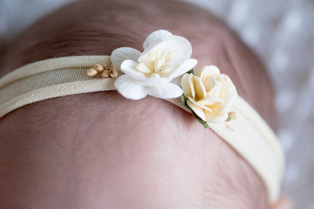 newborn fotografia recem nascido gemeos isabella manuella camila kobata