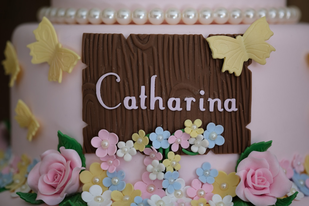 aniversario infantil catharina camilakobata kids fotografia photo