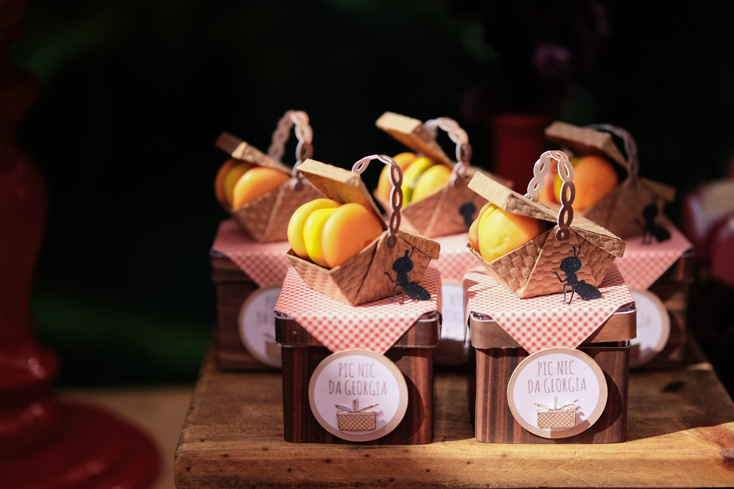 aniversario festa infantil georgia karen blandoles camilakobata le quiche bistro