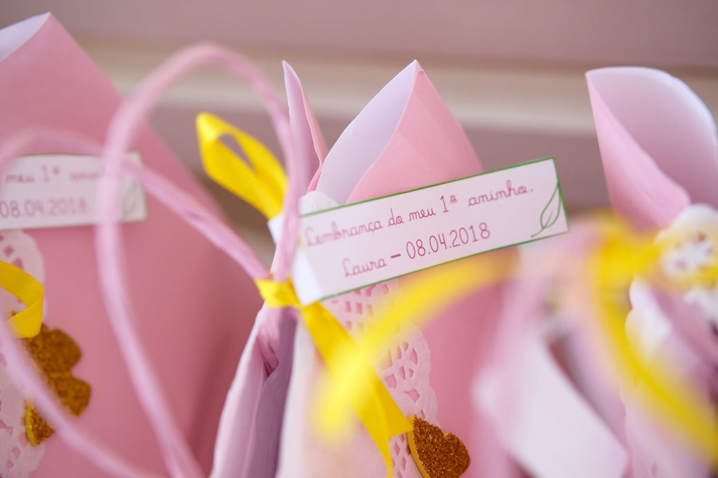 aniversario infantil fotografia familia camila kobata Laura 1 ano