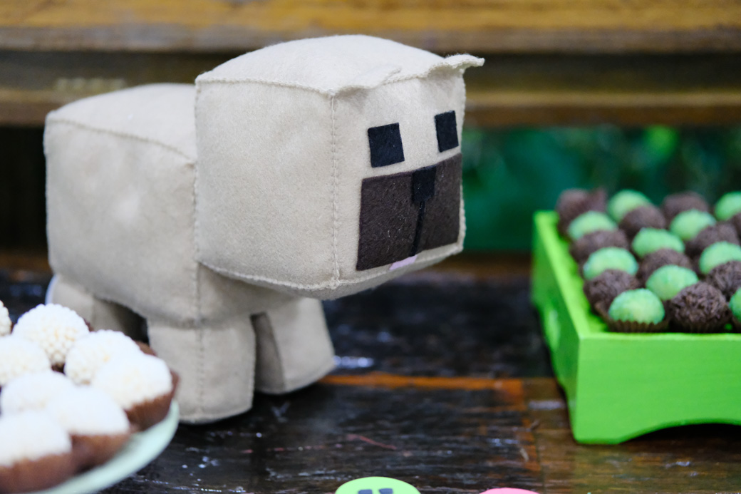 aniversario infantil Davi 7anos Buffet Meleca fotografia infantil Camila kobata