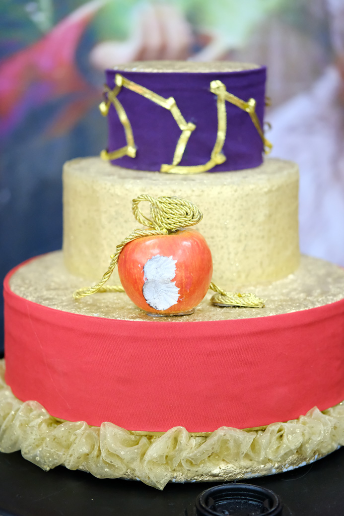 aniversario sofia buffet bom tom saopaulo fotografia infantil camilakobata