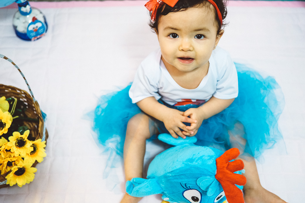 smash the cake agnes fotografia infantil camila kobata