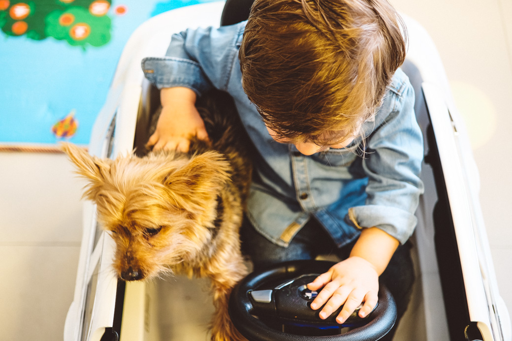 ensaio cotidiano felipinho fotografia camila kobata