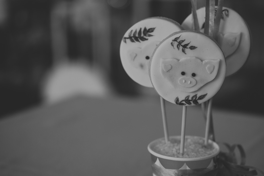 aniversario infantil bernardo fotografia camilakobata