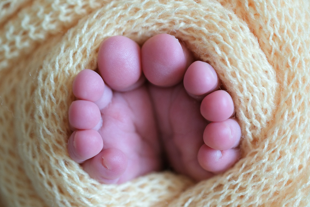 newborn julia fotografia recem nascido fotografa Camila kobata