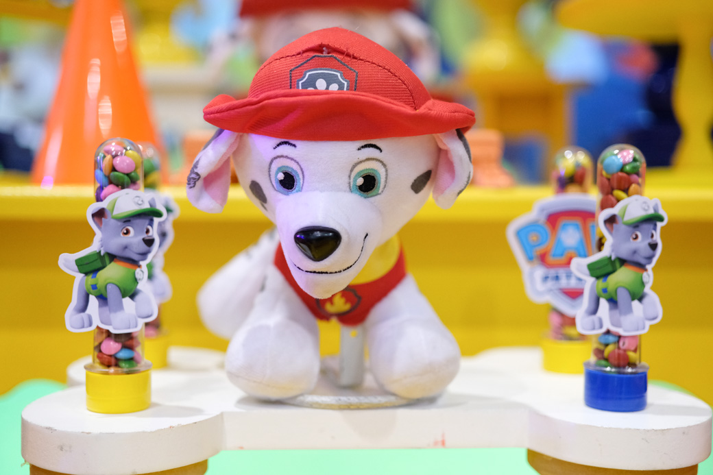 fotografia infantil aniversario Bernardo Buffet Santa Arruaça aruja