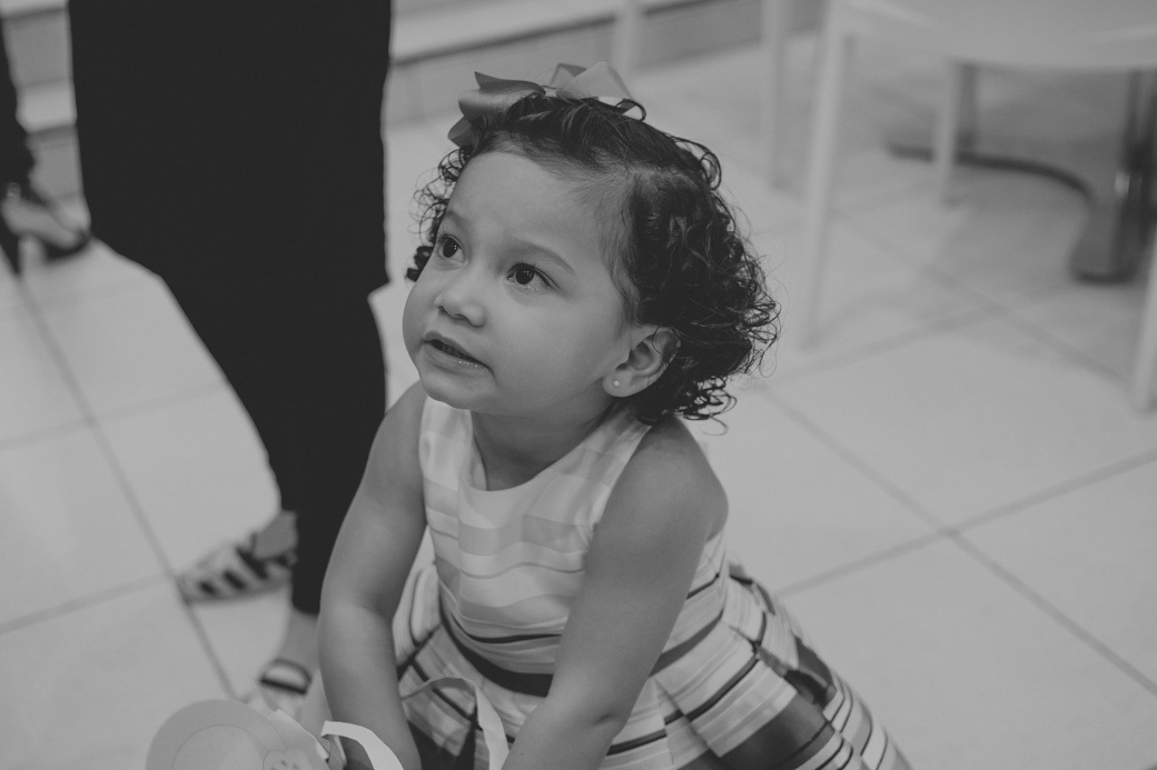 aniversario infantil sophia fotografia infantil Buffet Villa Party