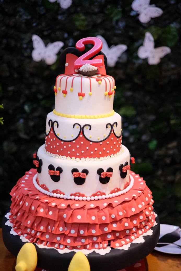 aniversario infantil sophia fotografia infantil Buffet Villa Party