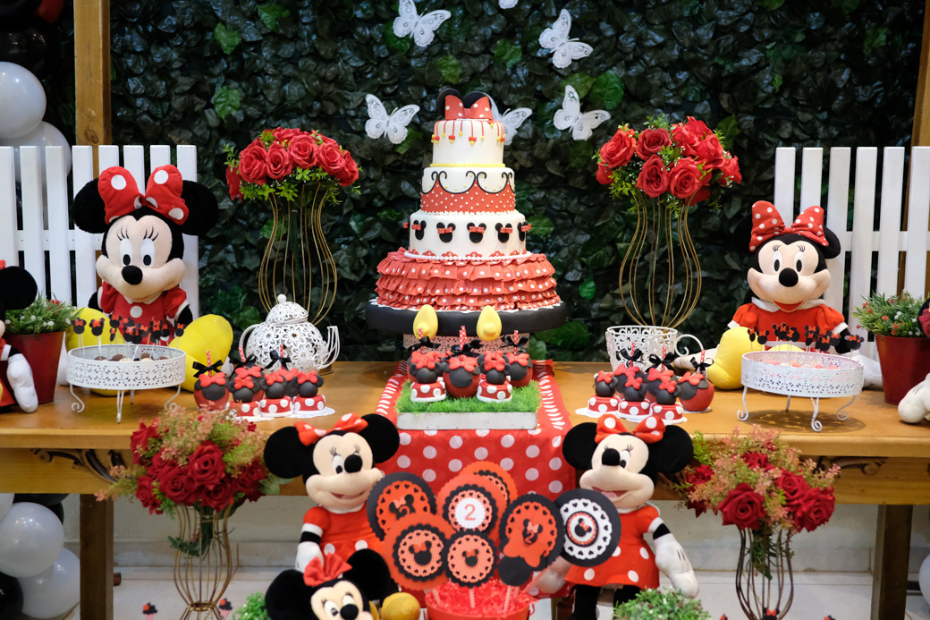 aniversario infantil sophia fotografia infantil Buffet Villa Party