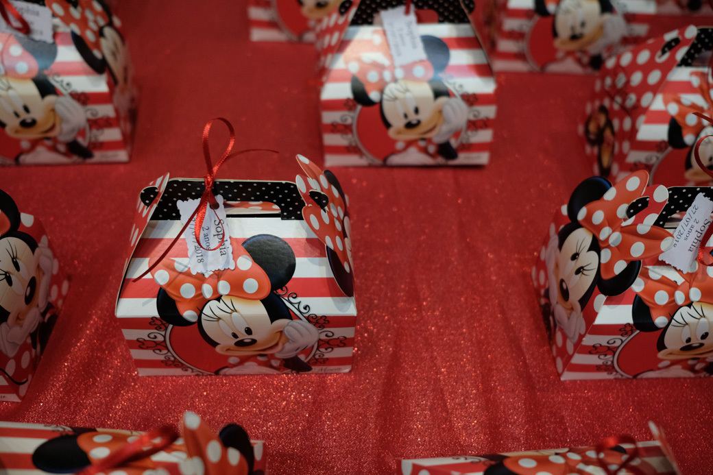 aniversario infantil sophia fotografia infantil Buffet Villa Party