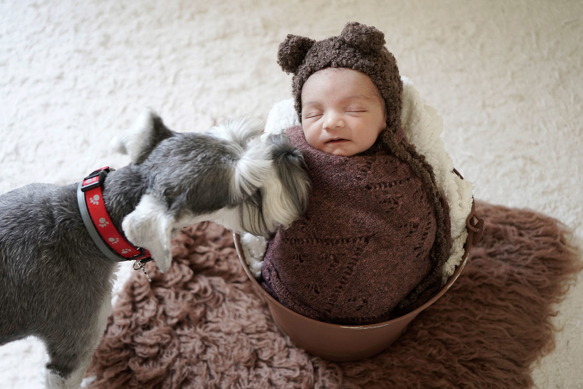 newborn fotografia infantil kids camila kobata lucas