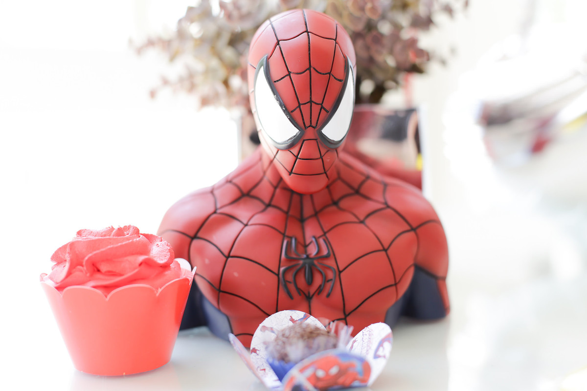 decoração aniversário Homem Aranha Camila São Paulo fotografia