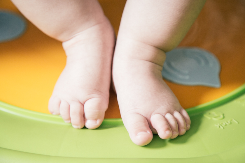 ensaio família cotidiano camilaKobata camila kobata