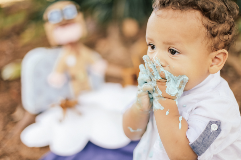samuel diniz mendonça gabi davi lucca camilakobata camila kobata smashthecake smash the cake lago dos patos avidor