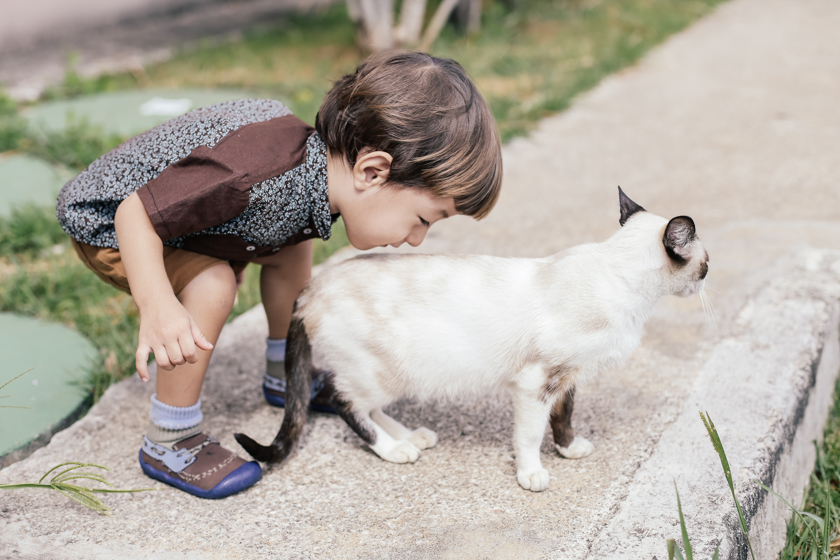 ensaio família cotidiano pato miroca pedro guarulhos fotografia