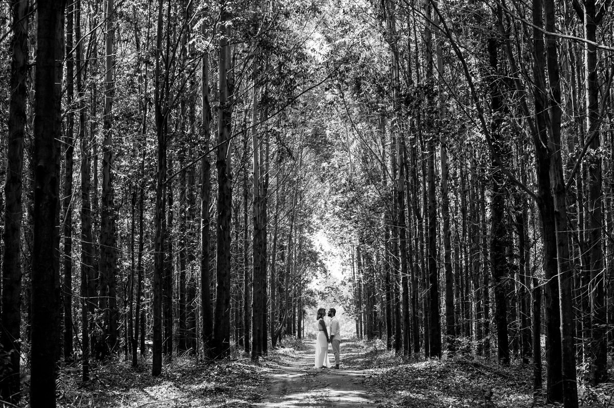 ensaio, book de casal, ipeuna, fotografo de casamento, fotografando na natureza, campo, ensaio externo, ensaio de casal,