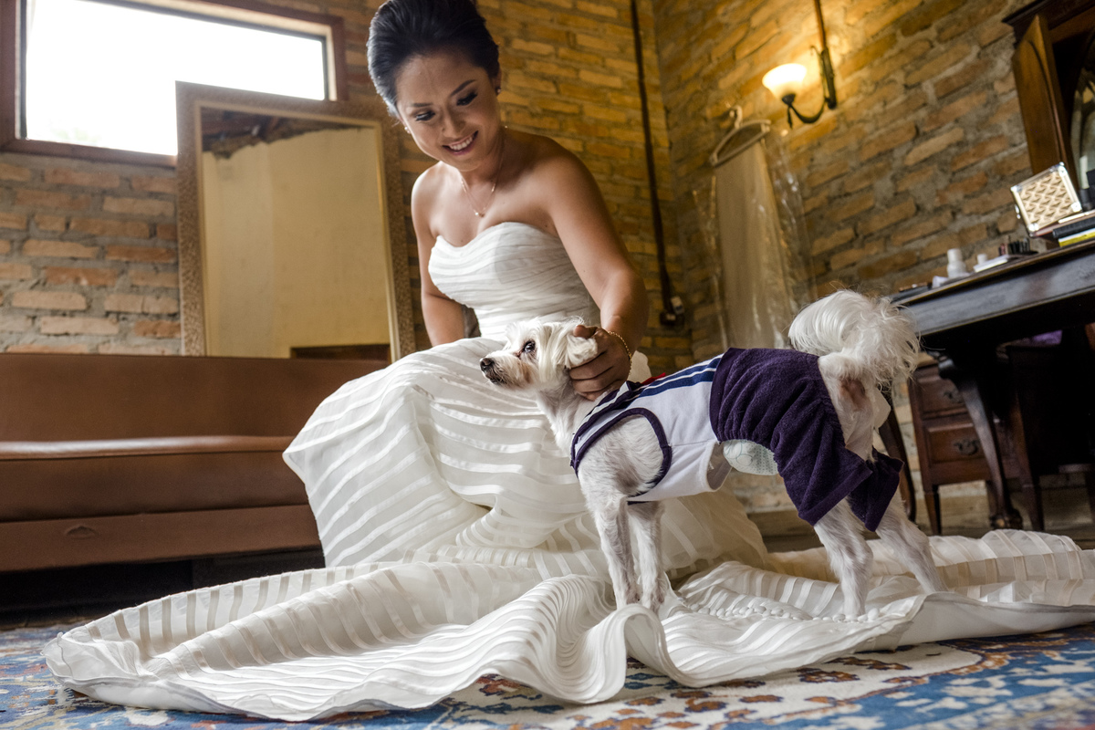noiva e seu cao teco curtindo o dia e esperando a hora da entrada para a cerimonia do casamento do em mogi das cruzes sp