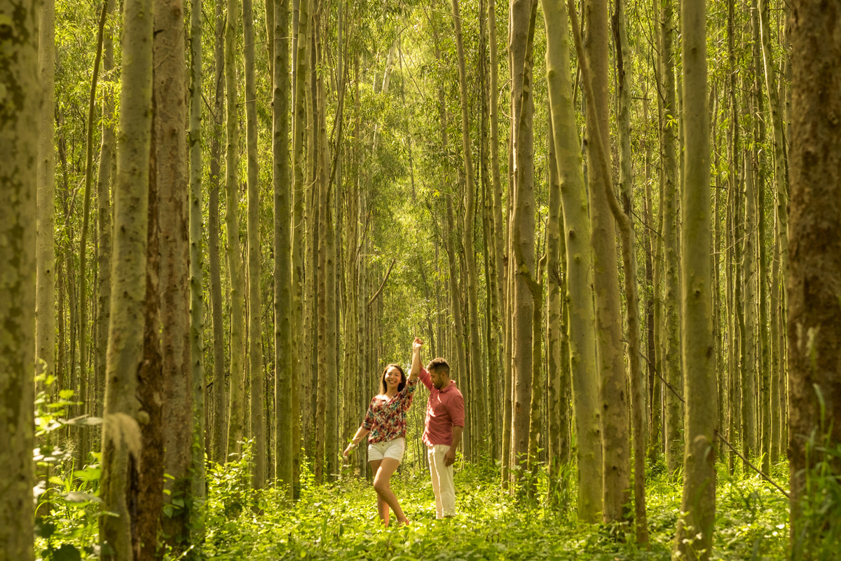 book de casal, namorar, fotografo de casamento, fotografia de casamento, holambra, sõa paulo, ensaio de casal, andré martins fotografia