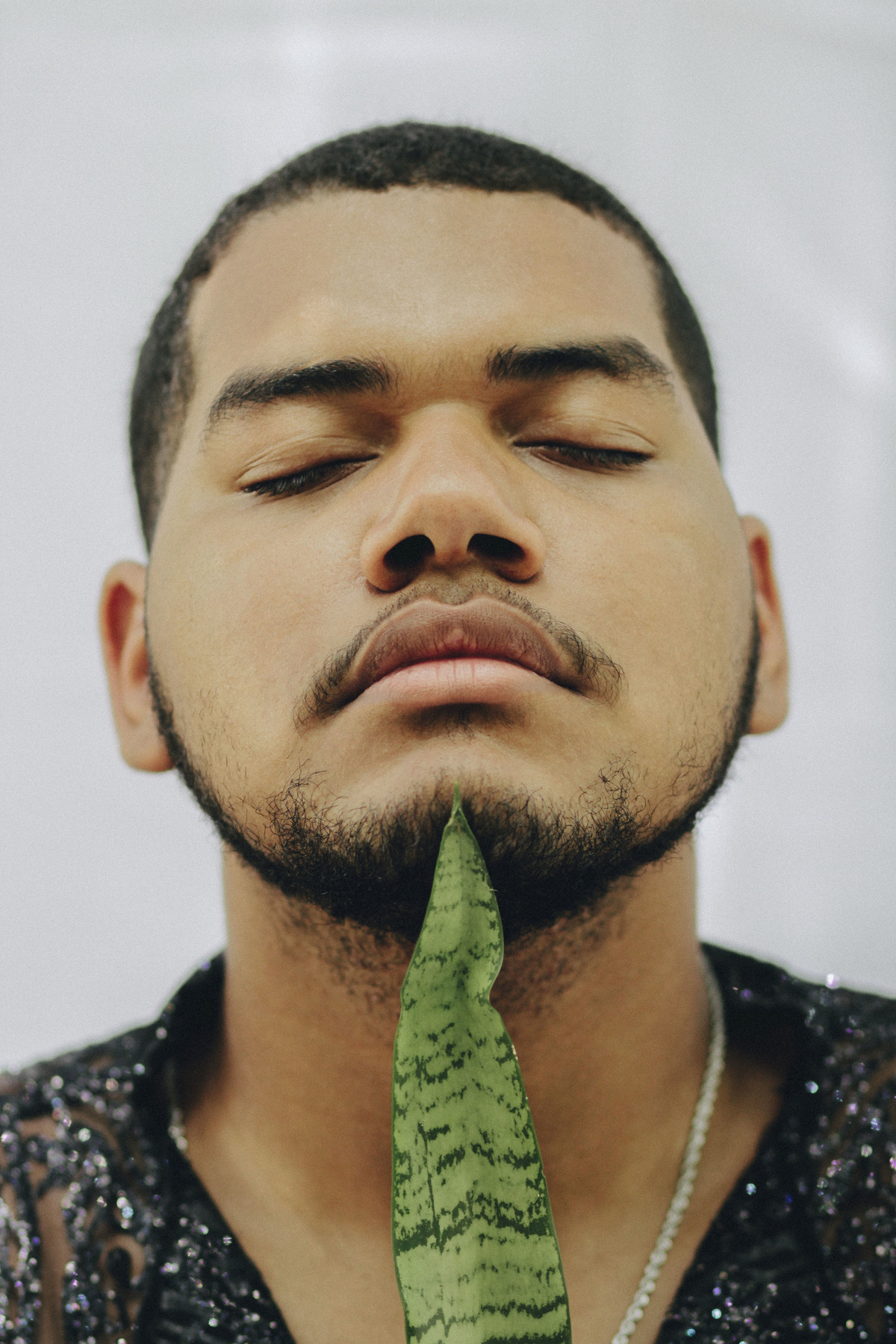 Dressed in Glory por Giulia Jansen