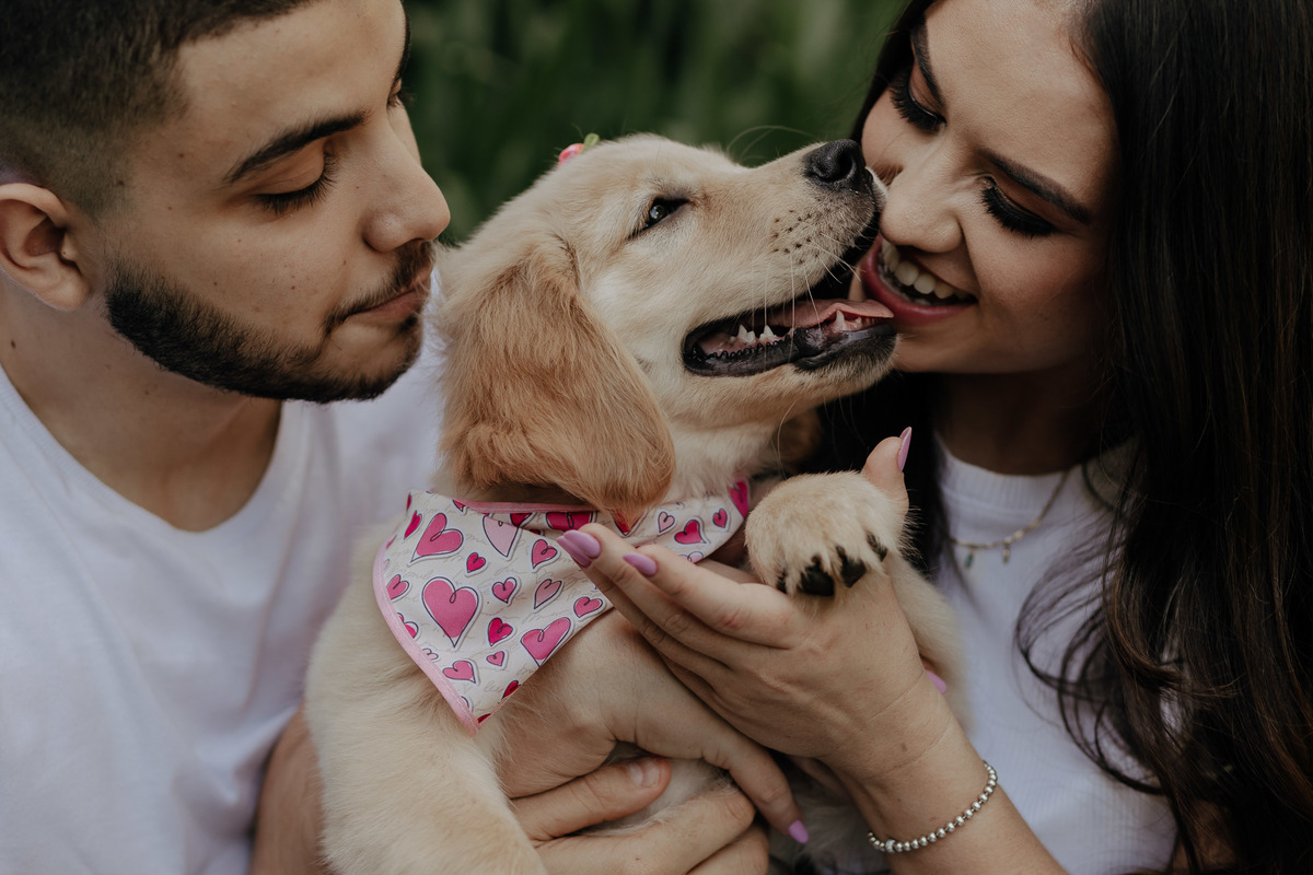 ENSAIO PRE CASAMENTO REALIZADO NO RECANTO PARAISO EM MARINGA NO PARANA E COM A PARTICIPACAO DO CACHORRO DO CASAL GOLDEN RETRIEVER TILAPIA E FOTOGRAFADO POR LUCAS DREHER