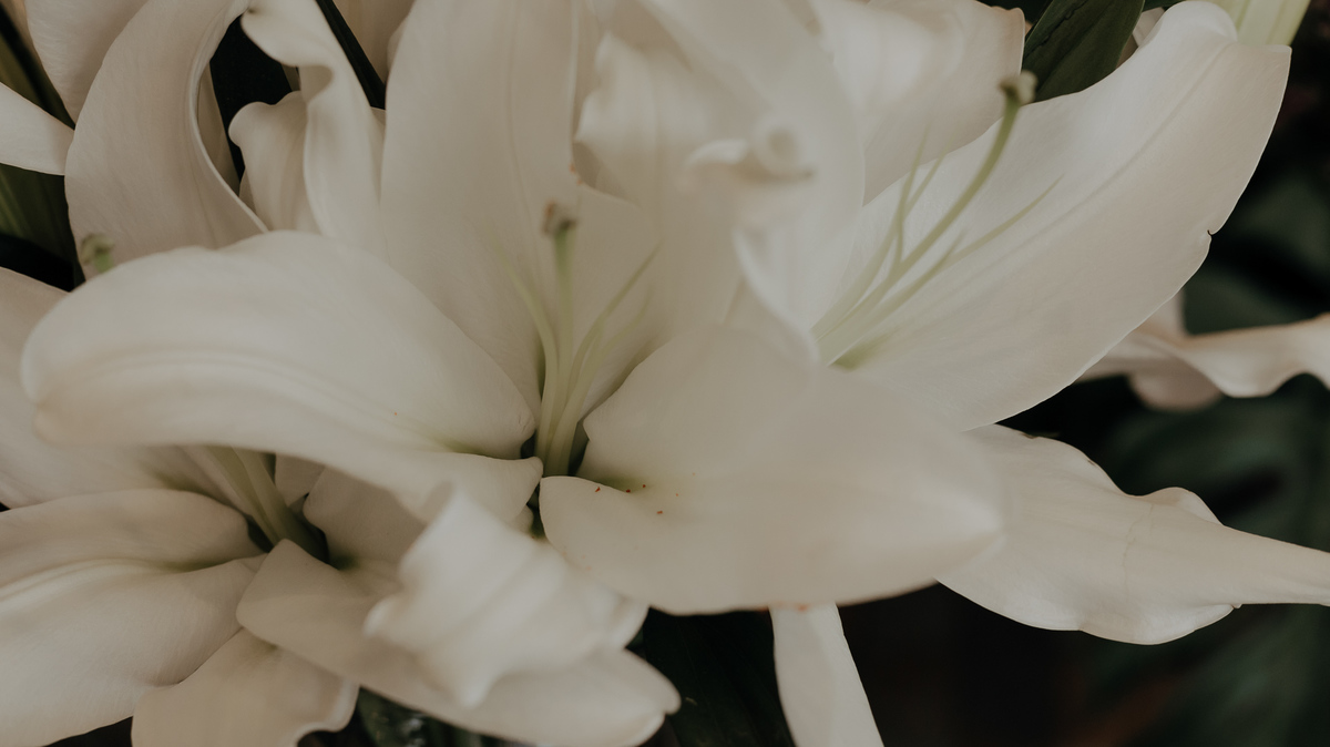 DECORACAO DE CASAMENTO REALIZADA PELO S8 EVENTOS NO SALAO DE FESTAS DO LALINDA EVENTOS EM MARINGA PARANA