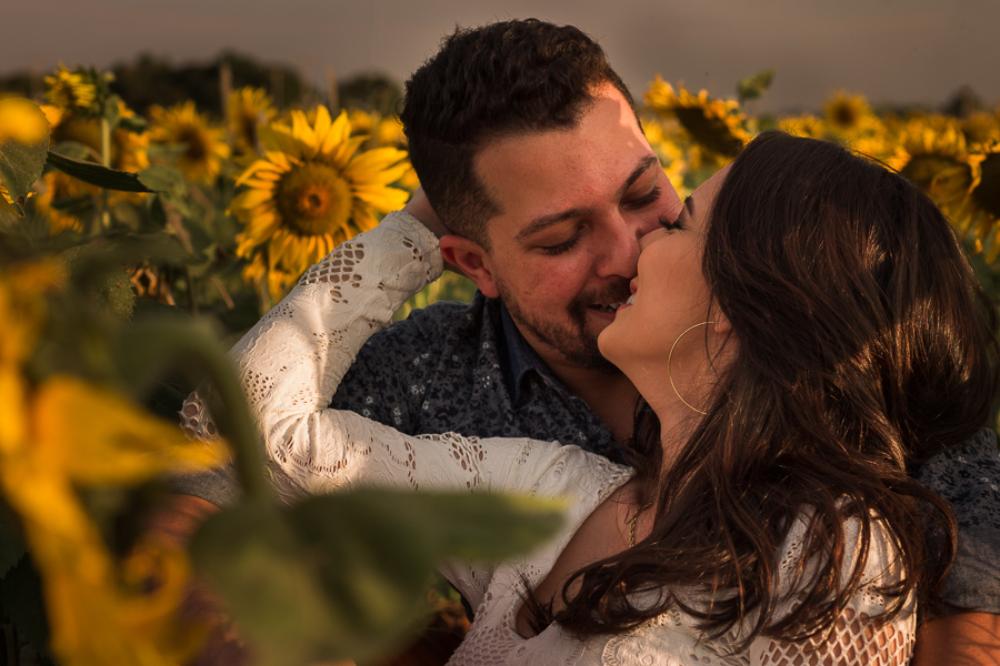 ENSAIO FOTOGRAFICO DE CASAL EM MARIALVA EM CAMPO DE GIRASSOL GIRASSOIS FLORES MARINGA MANDAGUACU