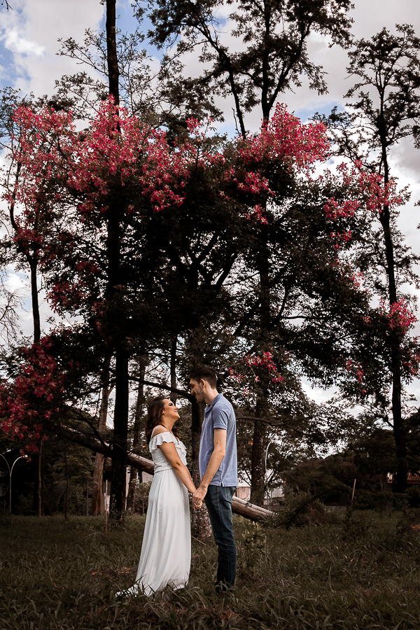 PRE CASAMENTO REALIZADO NO BOSQUE DAS GREVILEAS E NA LINHA DO TREM EM MARINGA NO PARANA NA IMAGEM O CASAL APARECE DE MAOS DADAS COM UMA ARVORE FLORIDA NO FUNDO