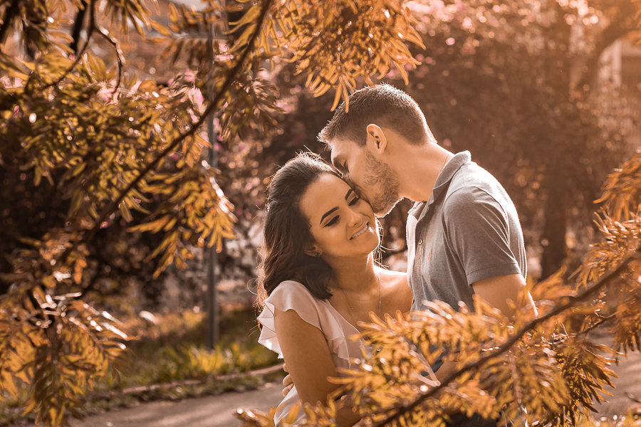 PRE CASAMENTO REALIZADO NO BOSQUE DAS GREVILEAS E NA LINHA DO TREM EM MARINGA NO PARANA NA IMAGEM AS ARVORES FORMAM UMA MOLDURA SOBRE OS NOIVOS QUE ESTAO LIGADOS POR BEIJOS CARINHOSOS