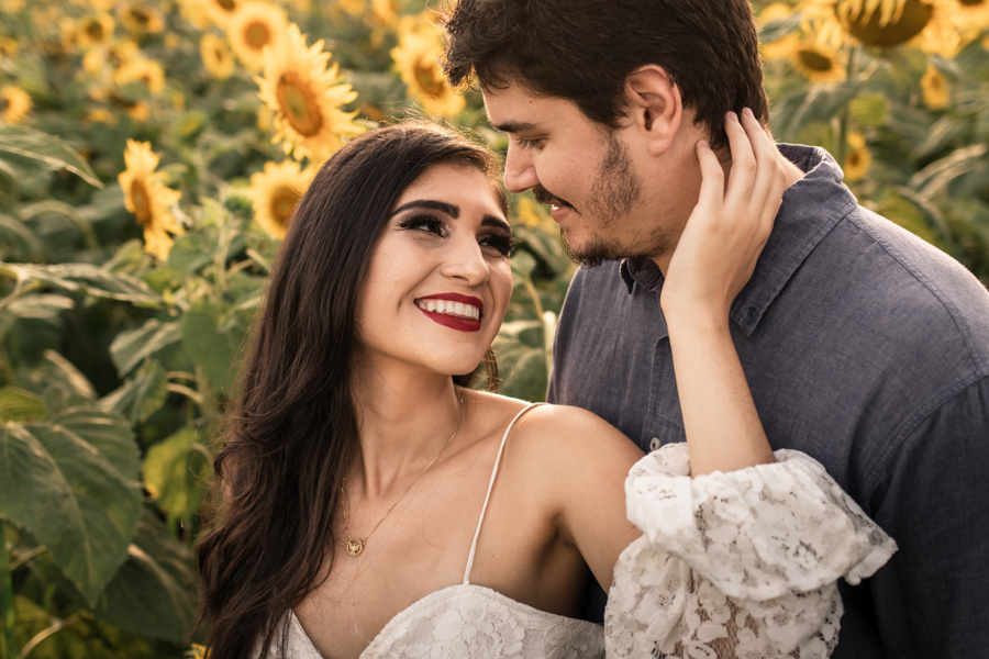 ENSAIO FOTOGRAFICO NA PLANTACAO DE GIRASSOIS EM MARINGA