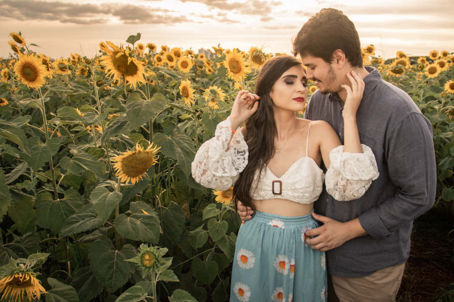 ENSAIO FOTOGRAFICO NA PLANTACAO DE GIRASSOIS EM MARINGA