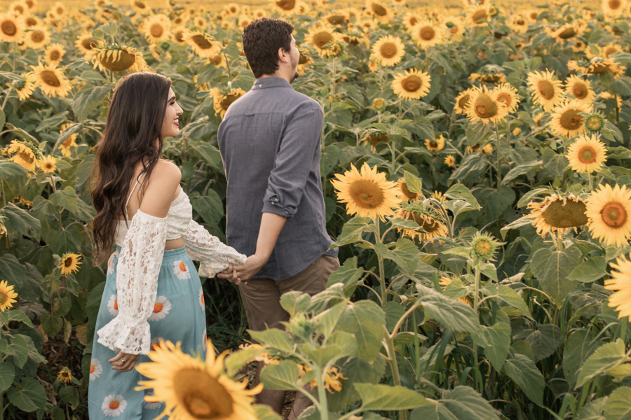 ENSAIO FOTOGRAFICO NA PLANTACAO DE GIRASSOIS EM MARINGA