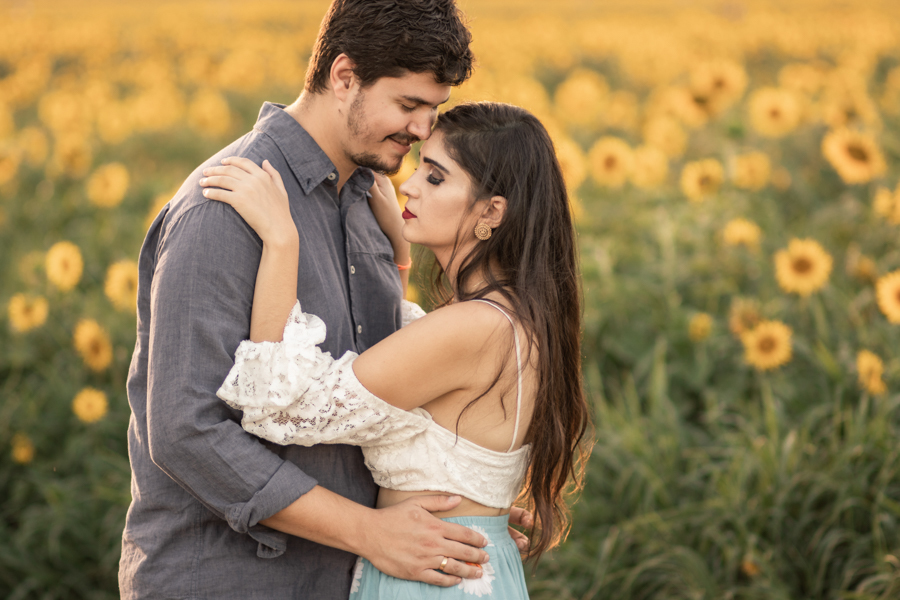 ENSAIO FOTOGRAFICO NA PLANTACAO DE GIRASSOIS EM MARINGA