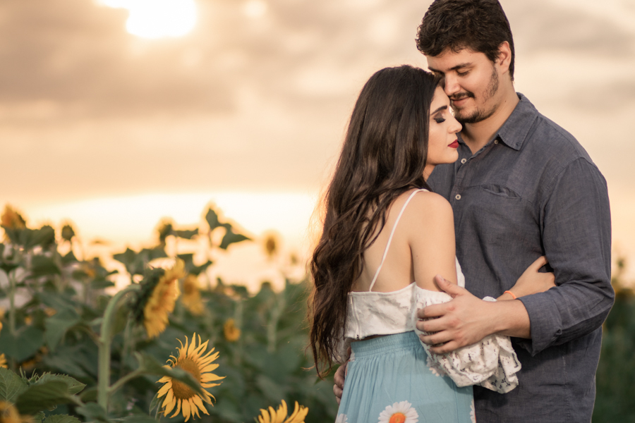 ENSAIO FOTOGRAFICO NA PLANTACAO DE GIRASSOIS EM MARINGA