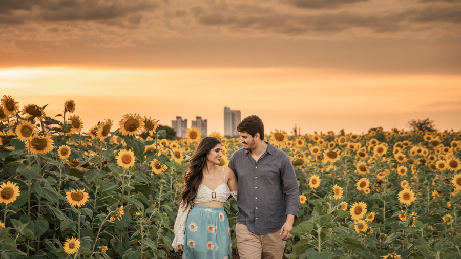 ENSAIO FOTOGRAFICO NA PLANTACAO DE GIRASSOIS EM MARINGA