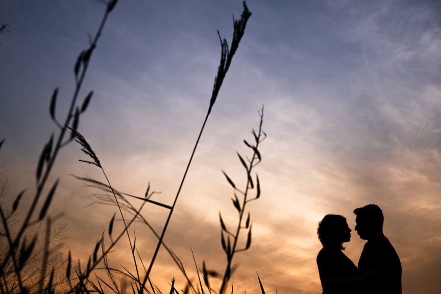 LINDO ENSAIO DE CASAL REALIZADO EM PLANTACAO DE EUCALIPTO EM MANDAGUACU PARANA PELO FOTOGRAFO LUCAS DREHER E PELA FOTOGRAFA ALINE DREHER COM UM CASAL SUPER CONECTADO E FELIZ SUPER RISONHO ALEGRE ANIMADO CHEIO DE AMOR