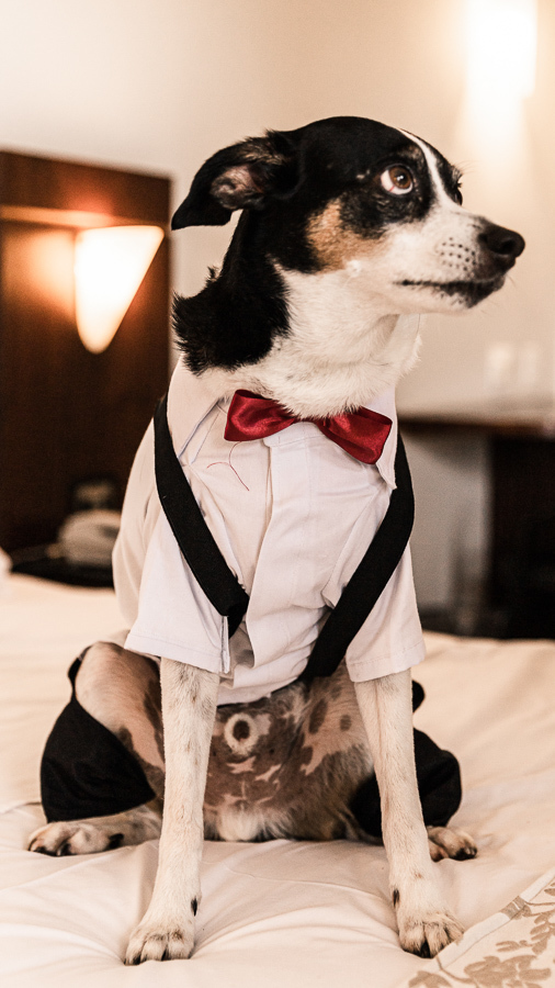 MAKING OF DO NOIVO REALIZADO NO HOTEL ELO EM MARINGA PARANA