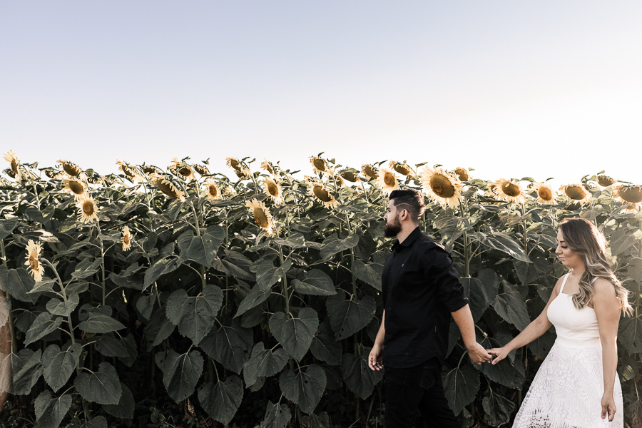 ENSAIO PRE CASAMENTO REALIZADO EM UMA LINDA PLANTACAO DE GIRASSOL EM MARINGA NO PARANA OS GIRASSOIS ESTAVAM LINDOS E FLORIDOS