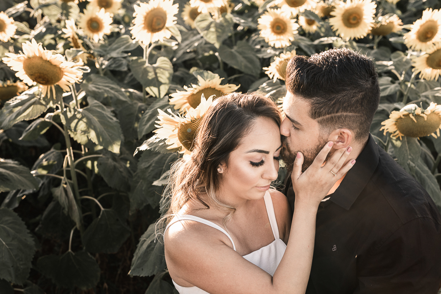 ENSAIO PRE CASAMENTO REALIZADO EM UMA LINDA PLANTACAO DE GIRASSOL EM MARINGA NO PARANA OS GIRASSOIS ESTAVAM LINDOS E FLORIDOS