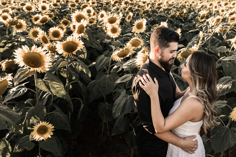 ENSAIO PRE CASAMENTO REALIZADO EM UMA LINDA PLANTACAO DE GIRASSOL EM MARINGA NO PARANA OS GIRASSOIS ESTAVAM LINDOS E FLORIDOS