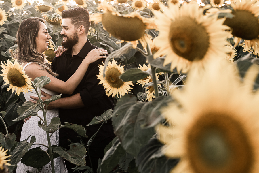 ENSAIO PRE CASAMENTO REALIZADO EM UMA LINDA PLANTACAO DE GIRASSOL EM MARINGA NO PARANA OS GIRASSOIS ESTAVAM LINDOS E FLORIDOS