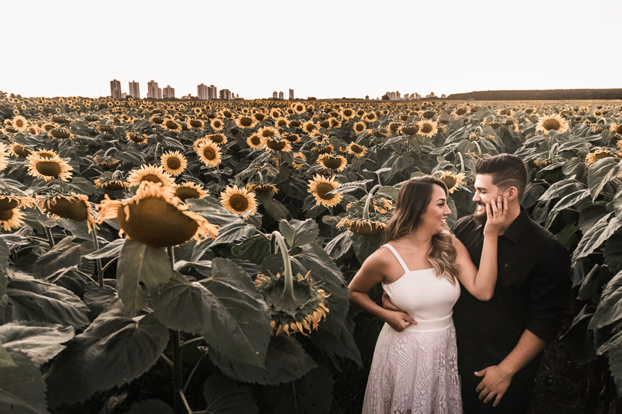 ENSAIO PRE CASAMENTO REALIZADO EM UMA LINDA PLANTACAO DE GIRASSOL EM MARINGA NO PARANA OS GIRASSOIS ESTAVAM LINDOS E FLORIDOS